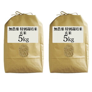 _  Iׂ 2kg 5kg 10kg ͔| 엿 ʍ͔| }v۔_ ߘa7NxYY C