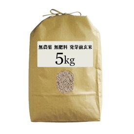 無農薬 無肥料 発芽前玄米|選べる 2kg 5kg 10kg 15kg 20kg福岡県産 元気つくし0.5分づき米筑後久保農園自然栽培米