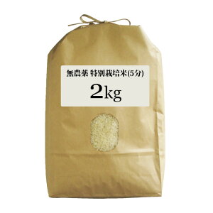 _ ʍ͔| 2Kg ͔| 엿 }v۔_ ߘa7NxYY ߂ Iׂ  7 5 3ÂkC k ꈶ̓^[pbNł͂