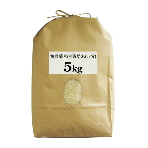 _ ʍ͔| 5Kg ͔| 엿 }v۔_ ߘa7NxYY  Iׂ  7 5 3Â