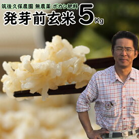 楽天市場 発芽玄米 5kgの通販