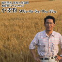ミナミノカオリ 小麦粉500g×4袋 5kg 10kg 20kg 無農薬 ボカシ肥料中強力粉福岡県産筑後久保農園