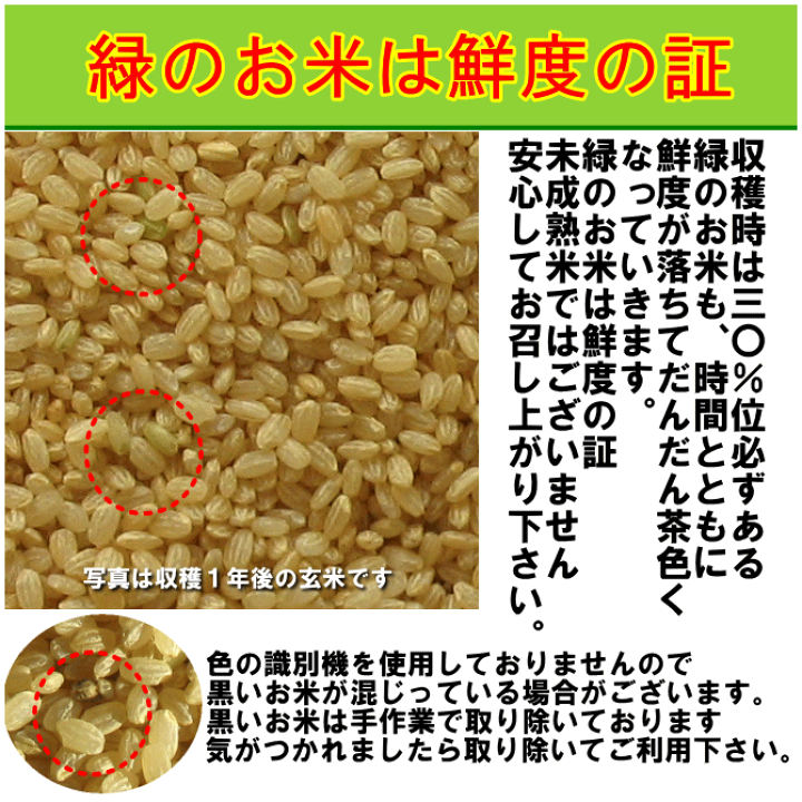 楽天市場】無農薬 特別栽培米 もち米 10kg栽培中 無肥料福岡県産