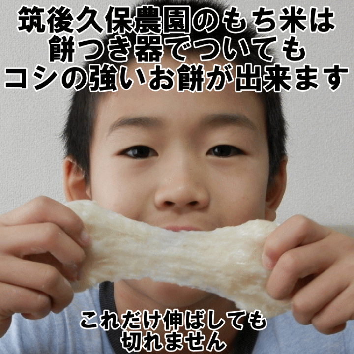 楽天市場】無農薬 特別栽培米 もち米 10kg栽培中 無肥料福岡県産