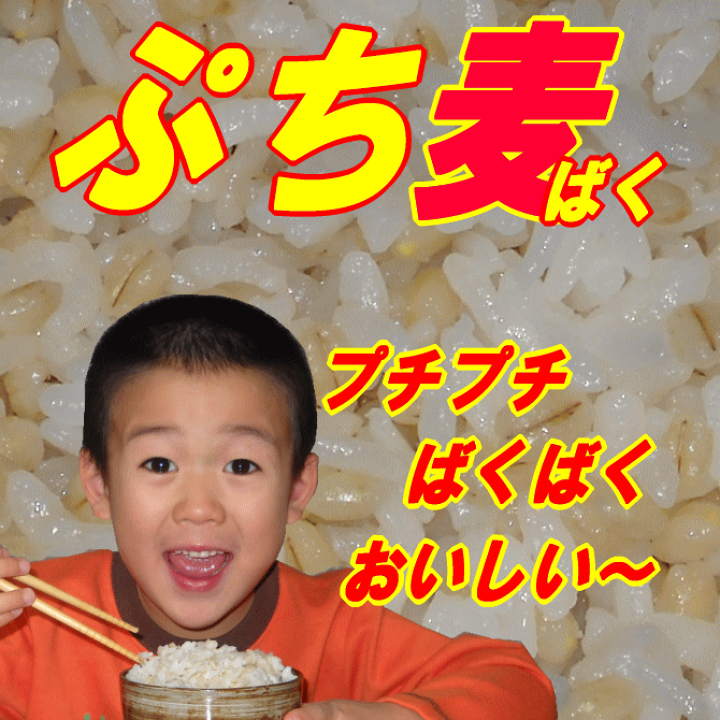 信州産　国産大豆　なかせんなり　 　お試しサイズ一キロ弱ポスト投函 ポスト投函・少量サイズのお米 通販/美味しい飯山産コシヒカリを