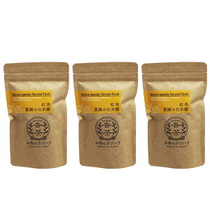 _ Y ēEg n[ueB[ 3 Iׂ [t eB[obO  yzB F{ ̃JWn  Xg[gňŒ 킢g