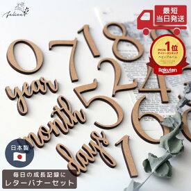 【ポイント5倍！11/18(火)0:00~23:59】レターバナーセット 木製 日本製 おしゃれ 赤ちゃん 数字 誕生日 ハッピーバースデー マンスリー 新生児 マンスリーフォト 月齢 フォト 月齢フォト ガーランド 誕生日 飾り ケーキ ハンドメイド 100 アルバム No.1シリーズ