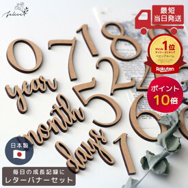 【ポイント10倍！2/4(水)0:00~2/10(火)23:59】レターバナー セット 木製 No.1｜マンスリーフォト・月齢フォト・マンスリーカード｜成長記録 フォト撮影 フォトプロップス ガーランド 誕生日 飾り 赤ちゃん 日本製 ハンドメイド