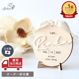 【ポイント5倍！11/18(火)0:00~23:59】●命名書 オーダー【アクリル】 日本製 赤ちゃん 木製 名前札 かわいい 男の子 女の子 プレゼント 名前入り インテリア 出産祝い 送料無料 オリジナル 人気 お七夜 月齢 ニューボーン 名入れ 飾る おしゃれ　メモリアルプレート