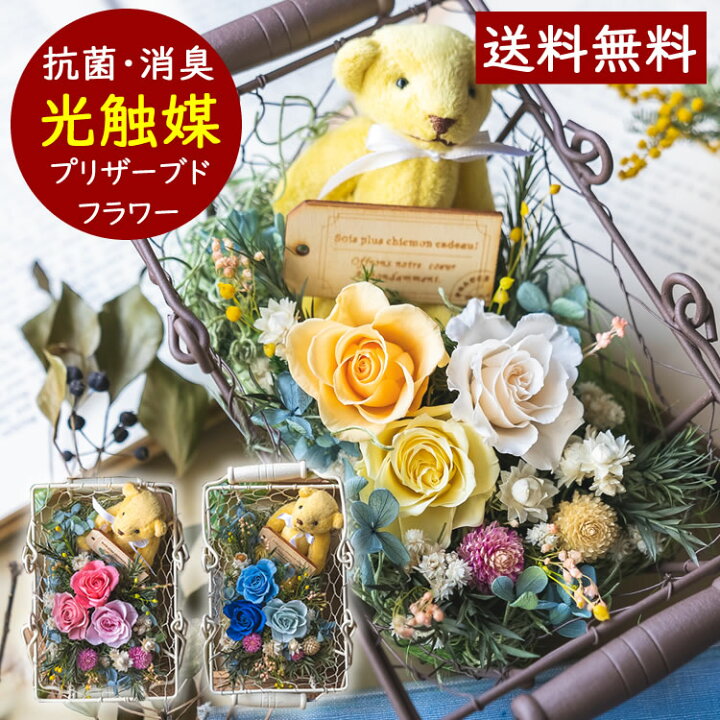 楽天市場 敬老の日 出産祝い プレゼント 花 プリザーブドフラワー かわいい 新築祝い 出産祝い 大人可愛い 雑貨 バラ 光触媒 籐かご お祝い ギフト インテリア雑貨 そのまま飾れる 花束 誕生日プレゼント フラワーアートフェリーチェ 楽天市場 敬老の日 出産祝い プレゼント 花 プリザーブドフラワー かわいい 新築祝い 出産祝い 大人可愛い 雑貨 バラ 光触媒 籐かご お祝い ギフト インテリア雑貨 そのまま飾れる 花束 誕生日プレゼント フラワーアートフェリーチェ