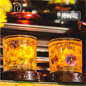 O낤  낤 蕨 OE\N ފ  n[oE  LhCg  r LEDLh n[oE ԓU ~jTCY Ԃ낤 