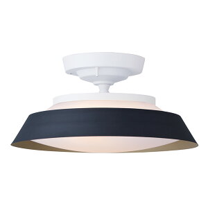 ART WORK STUDIO(アートワークスタジオ)Graph LED-remote ceiling light metal shade(グラフ LED リモートシーリングライトメタルシェード)