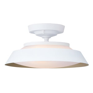 ART WORK STUDIOiA[g[NX^WIjGraph LED-remote ceiling light metal shadeiOt LED [gV[OCg^VF[hj