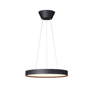 ART WORK STUDIOiA[g[NX^WIjGlow 5500 LED-pendant lightiO[LEDy_Cgj