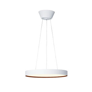 ART WORK STUDIOiA[g[NX^WIjGlow 5500 LED-pendant lightiO[LEDy_Cgj