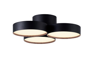 ART WORK STUDIOiA[g[NX^WIjPhantom LED-ceiling lampit@gLEDV[Ovj