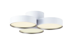 ART WORK STUDIOiA[g[NX^WIjPhantom LED-ceiling lampit@gLEDV[Ovj