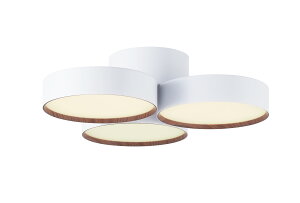 ART WORK STUDIOiA[g[NX^WIjPhantom LED-ceiling lampit@gLEDV[Ovj