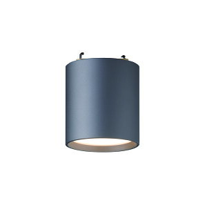 ART WORK STUDIO�i�A�[�g���[�N�X�^�W�I�jGrid-ceiling or duct down light�i�O���b�h�V�[�����O���̓_�N�g�_�E�����C�g�j