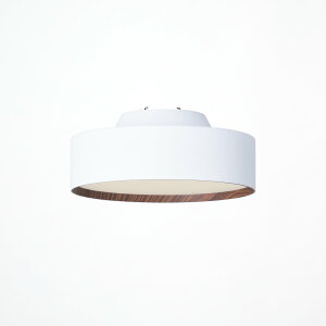 ART WORK STUDIOiA[g[NX^WIjGlow mini LED-ceiling lightiO[~jLEDV[Ovj