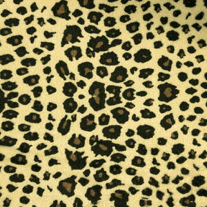 Aj}b` V[gJo[ t[TCY ȍEZbg qE [u ȒP Gv^Cv