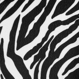 r[Ly[GRobNv[gI Aj}b` V[gJo[ t[TCY ȍEZbg qE [u ȒP Gv^Cv