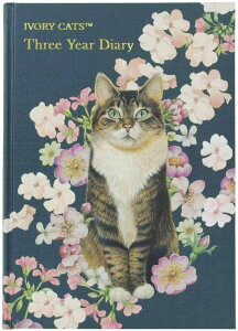 fBAJ[Y 3NL-AC{[Lbc ȂyApLz1360-G04-010