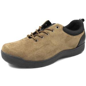 [XeBbN] JWAXj[J[q L y h 1903 Y