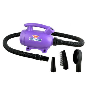 XPOWER B-55 ybghC[ ƖphC[ Lьp hC[ 3̃mYtybghC[ ybgwA[hC[ ጸ u[ hC[ƋzCp̃ybgp