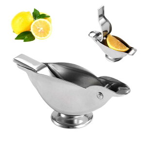 EOCX^i 蓮i t[cW[XvX 304 XeX|̎莝^W[T[ hKnhvX ƒp Lb`Kic[