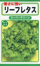 暑さに強いリーフレタス(スーパーグリーン)