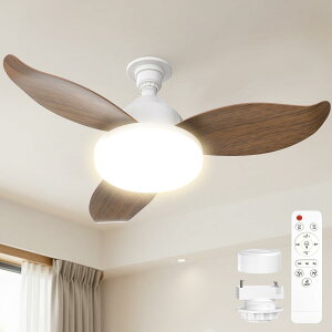 SUKITEN �V�[�����O�t�@�����C�g LED �y2026 ���胂�f���E���^�E�啗�ʁz6-8���p ��63.5cm 38W 3500lm ���t��] DC���[�^�[ �É� ���i�K�������F �����R���t�� �ǃX�C�b�`�������[�@�\ �^�C�}�[�@�\ �y