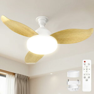SUKITEN �V�[�����O�t�@�����C�g LED �y2026 ���胂�f���E���^�E�啗�ʁz6-8���p ��63.5cm 38W 3500lm ���t��] DC���[�^�[ �É� ���i�K�������F �����R���t�� �ǃX�C�b�`�������[�@�\ �^�C�}�[�@�\ �y