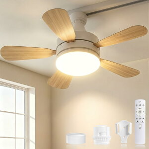 SUKITEN �V�[�����O�t�@�����C�g�y�������[�E���t��]�E�ߓd�Ɂz 6~8�� ���^ 28W 3,000lm DC���[�^�[ led �t�@���t���Ɩ� �V���@ E26���� ���|���V�[�����O�Ή� �������F �^�C�}�[�@�\ �����R��