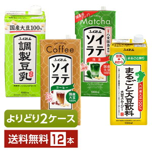 Iׂ ӂ  哤 \Ce ǂMIX 1L pbN 1000ml 12{ i6{×2jyǂ2P[Xzyiꕔn揜jz