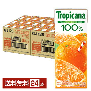 L gsJ[i 100 IW 250ml (LLX) 24{ 1P[Xyiꕔn揜jz