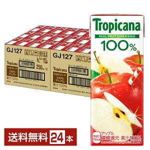 L gsJ[i 100 Abv 250ml (LLX) 24{ 1P[Xyiꕔn揜jz