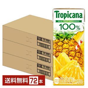 L gsJ[i 100 pCAbv 250ml (LLX) 24{×3P[Xi72{jyiꕔn揜jz