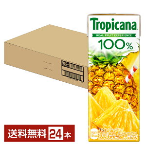 L gsJ[i 100 pCAbv 250ml (LLX) 24{ 1P[Xyiꕔn揜jz