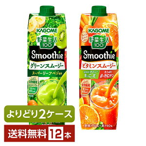 Iׂ JS ؐ100 Smoothie ǂMIX 1000g LLvY}e pbN 12{ i6{×2jyǂ2P[Xzyiꕔn揜jz ؃W[X