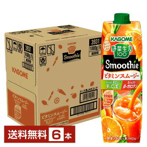 JS ؐ100 Smoothie r^~X[W[ IWLbgMix 1000g LLvY}e pbN 6{ 1P[Xyiꕔn揜jz ؃W[X
