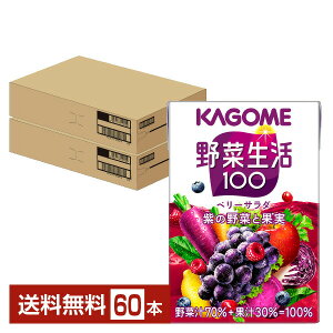 JS ؐ 100 x[T_ 100ml pbN 30{×2P[Xi60{jyiꕔn揜jz ؃W[X