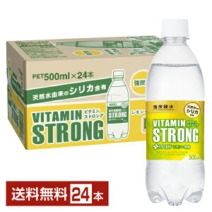 ɓ r^~XgO Y_ 500ml ybg{g 24{ 1P[Xyiꕔn揜jz VITAMIN STRONG  