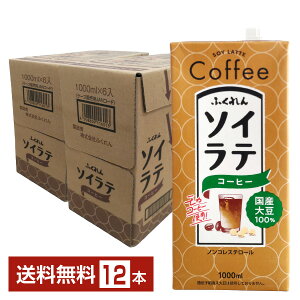 ӂ Y哤 \CeR[q[ 1L pbN 1000ml 6{×2P[Xi12{jyiꕔn揜jz 