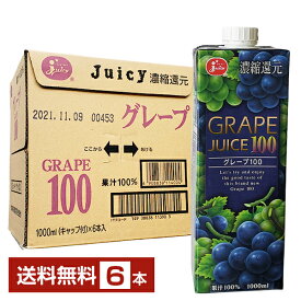 ジューシー グレープ100 濃縮還元 1L 1000ml 紙パック 6本 1ケース【送料無料（一部地域除く）】 juicy グレープ ぶどう ブドウ 果汁100％