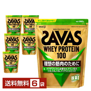  UoX zGCveC100  980g×6܁yiꕔn揜jz veC SAVAS Built & Powered protein