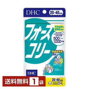 DHC tH[XR[ 80i20j 1܁yz fB[GC`V[y䂤pPbg/Ȃ/sLZz