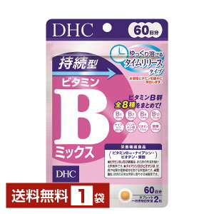 h{@\Hi DHC ^r^~B~bNX 120i60j 1܁yz fB[GC`V[y䂤pPbg/Ȃ/sLZz