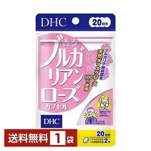 DHC uKA[YJvZ 40i20j 1܁yz fB[GC`V[y䂤pPbg/Ȃ/sLZz