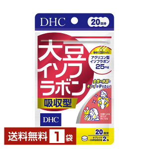 DHC 哤C\t{ z^ 40i20j 1܁yz fB[GC`V[y䂤pPbg/Ȃ/sLZz